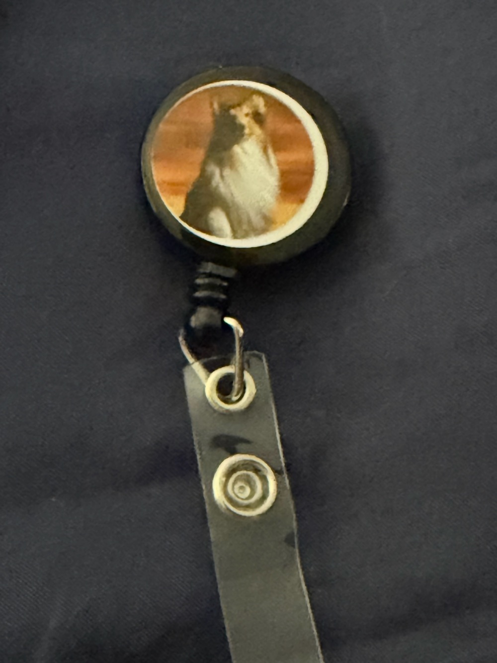 Black Dog Retractable Badge Reel with Leather Strap